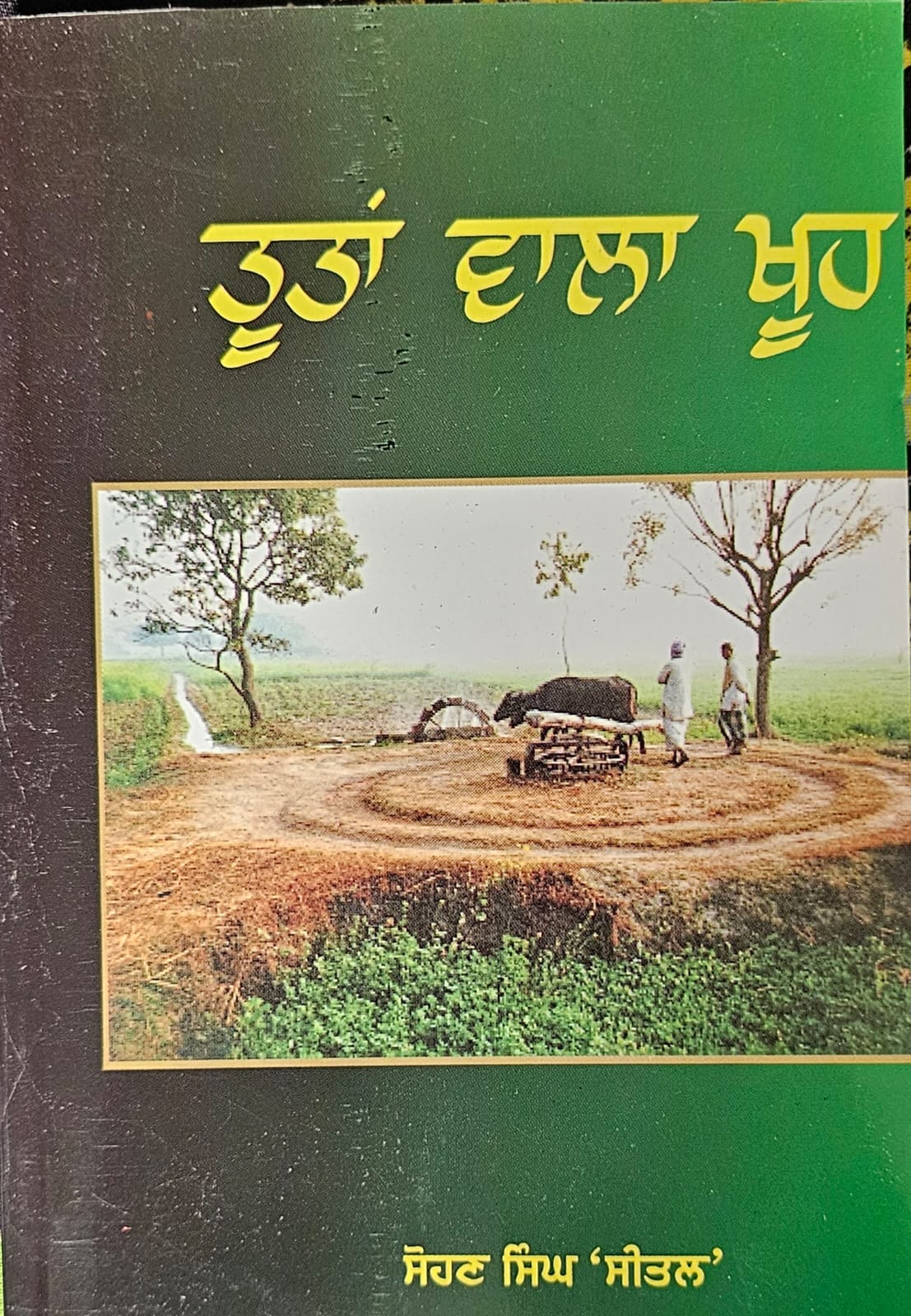Tootan wala khooh / ਤੂਤਾਂ ਵਾਲਾ ਖੂਹ